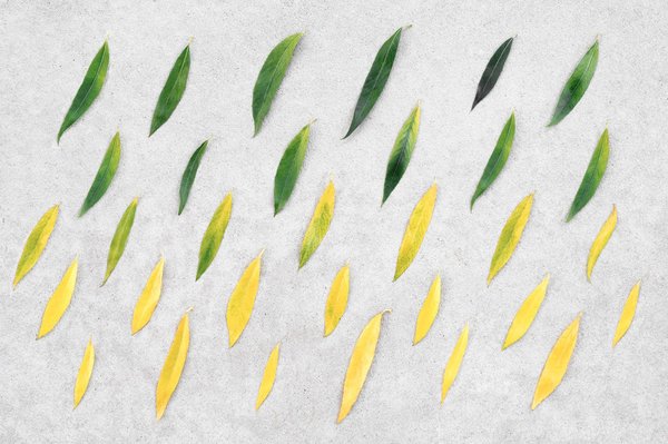 comment faire face au stress d'un déménagement