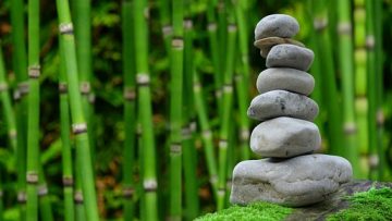 Astuces pour se débarrasser du chiendent dans son jardin