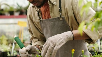 Quelle est la place des plantes artificielles haut de gamme dans votre intérieur ?