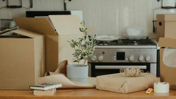 Explorez notre collection de planches de bois à prix réduits !